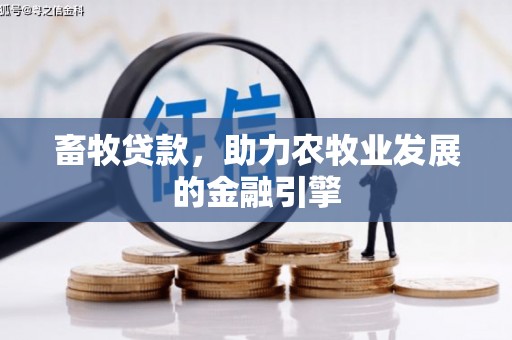 息烽畜牧贷款，助力农牧业发展的金融引擎