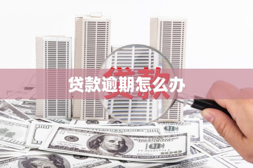 息烽贷款逾期怎么办