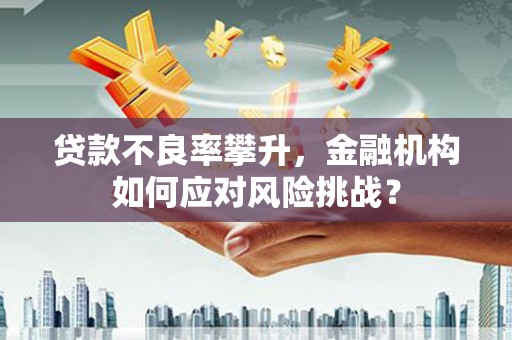息烽贷款不良率攀升，金融机构如何应对风险挑战？